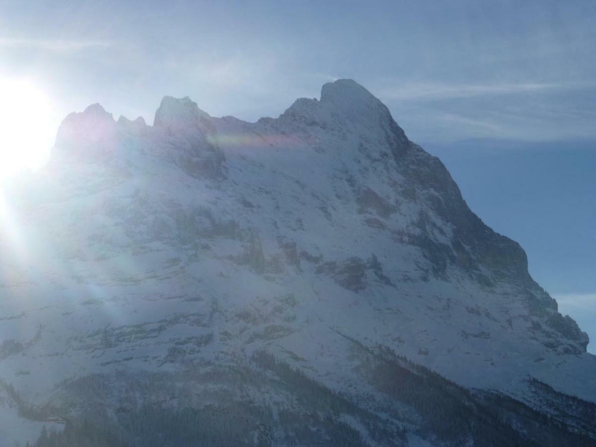 Verbrunnenhaus Apartment Grindelwald