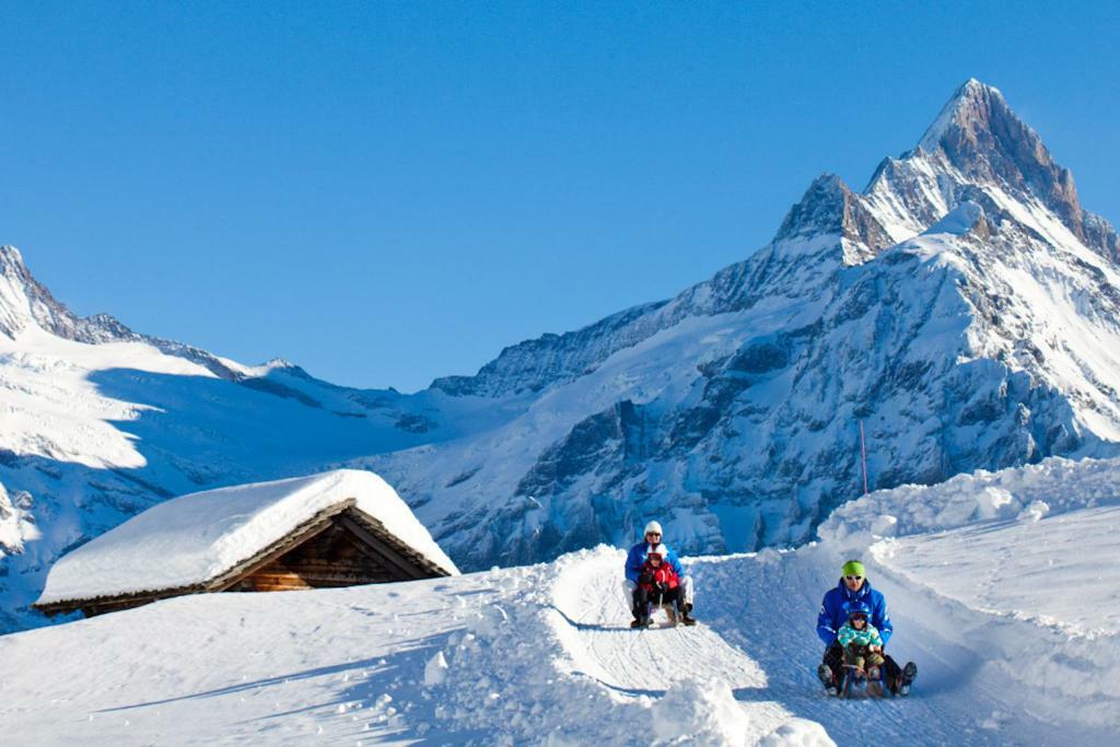 Wetterhorn, Eiger, Jungfrau, Amazing! Apartment *