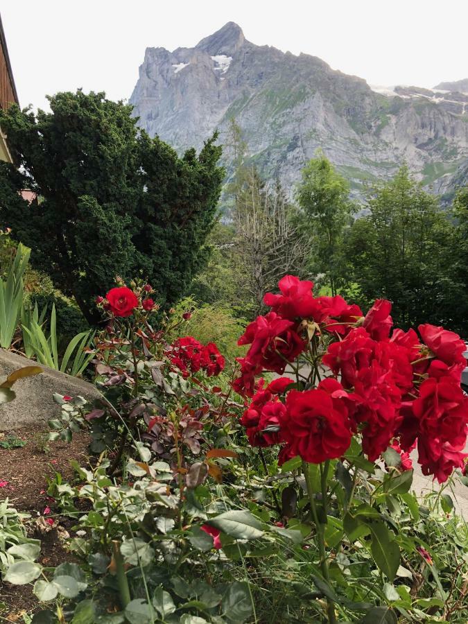 Zur Hohe Apartment Grindelwald