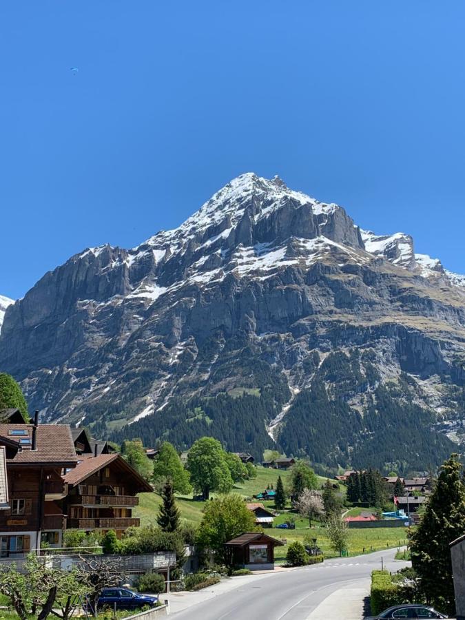 Fluehblueemli