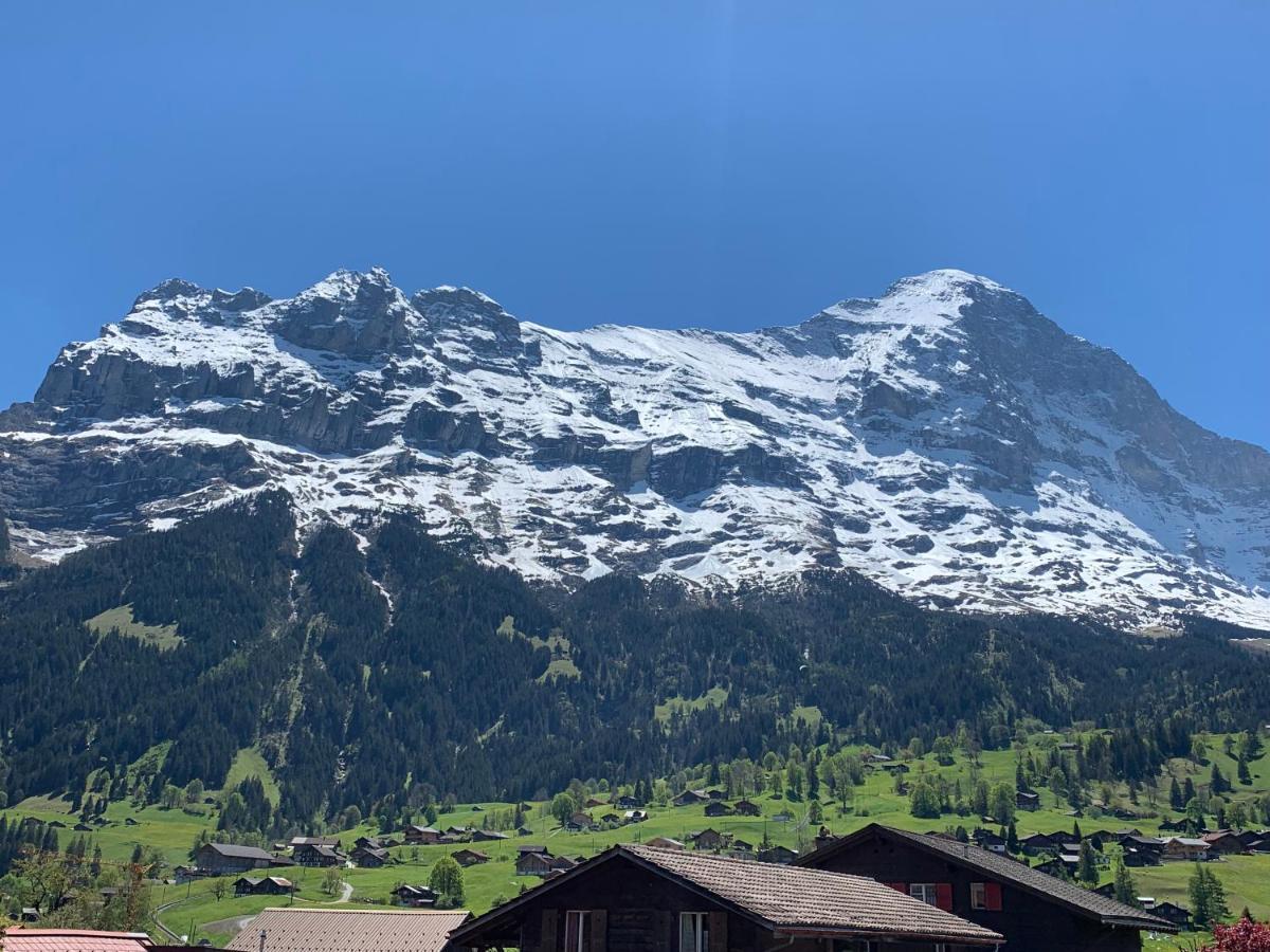 Fluehblueemli Grindelwald