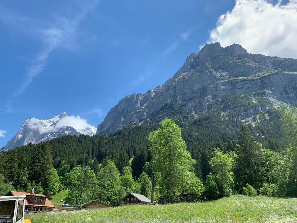 Apartment Fluehblueemli Grindelwald
