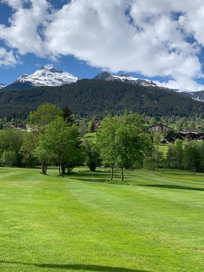 Apartment Fluehblueemli Grindelwald