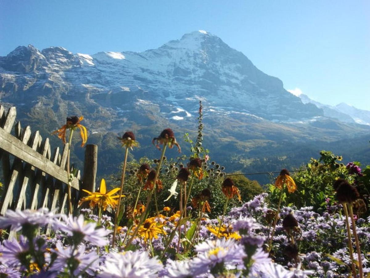 Uf Em Stutz 1 Apartment Grindelwald