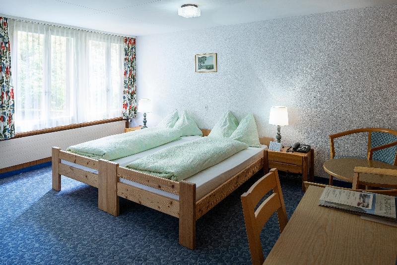 Hotel Jungfrau Lodge, Swiss Mountain