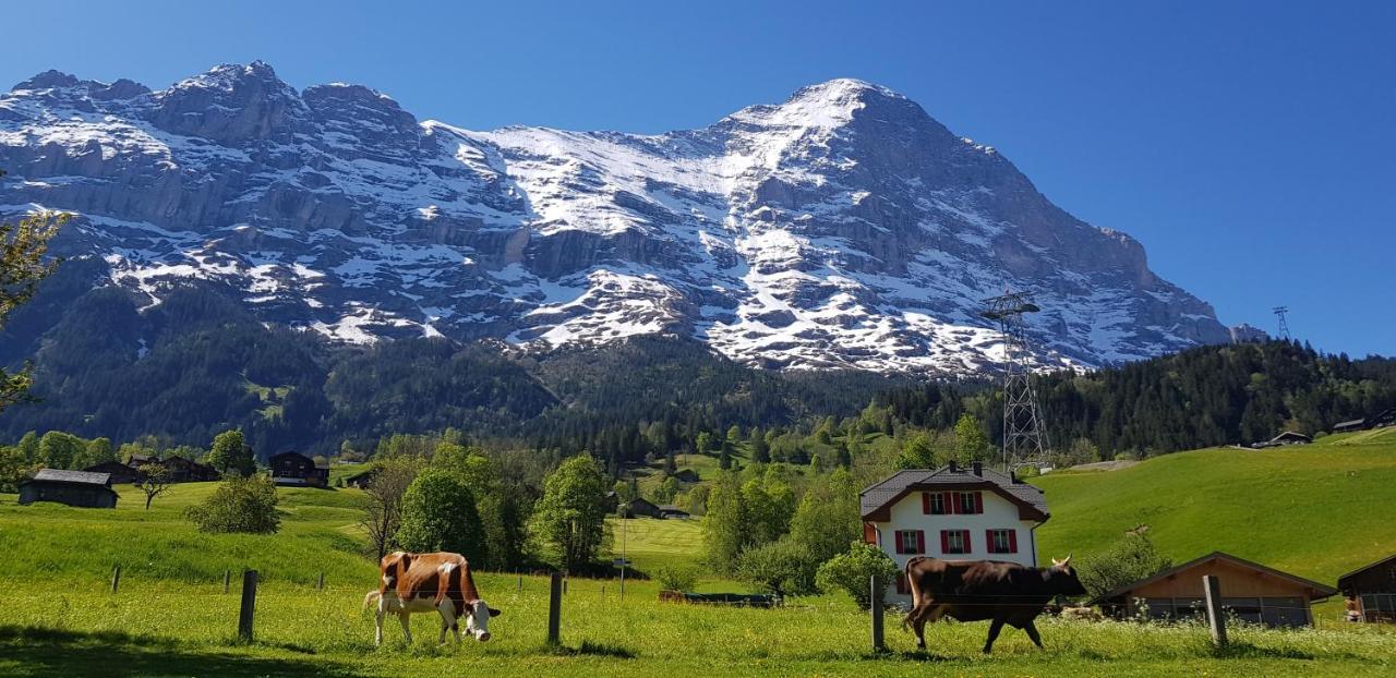 Chalet Bodenwald Apartment