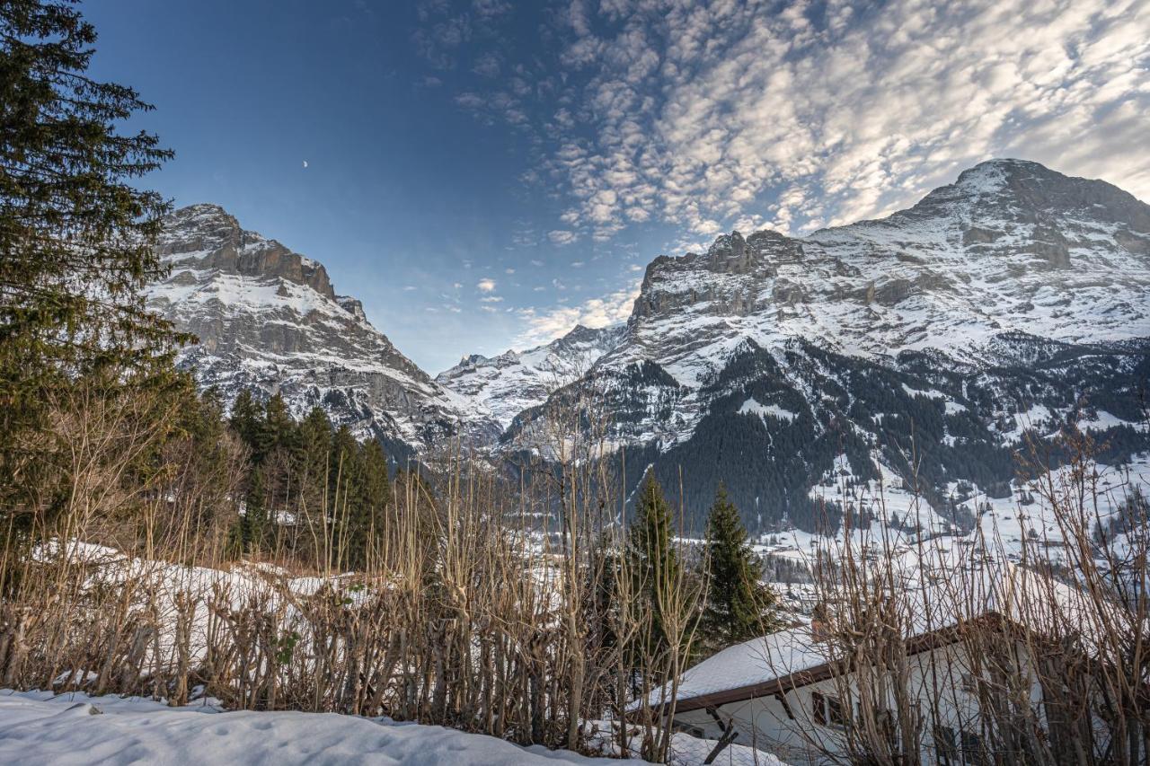 Weid - Aare Jungfrau Ag
