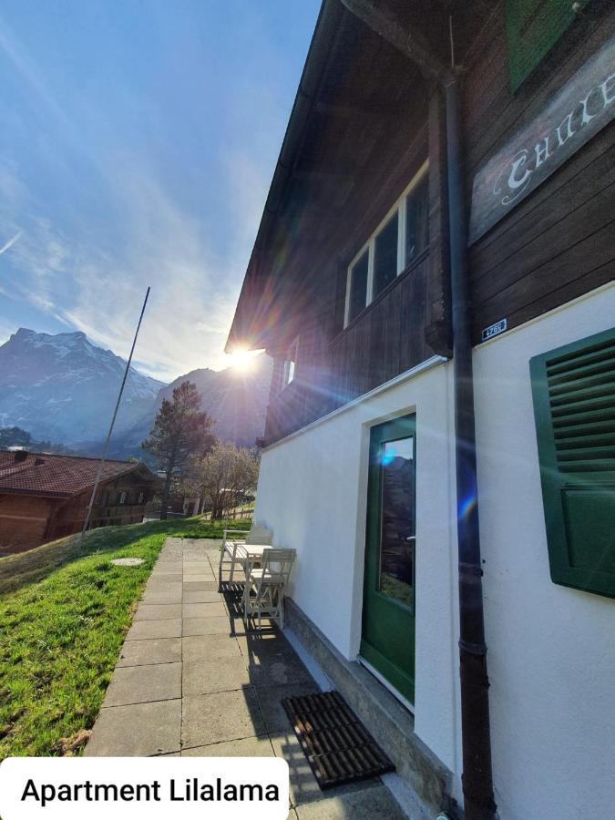 Lilalama * Grindelwald