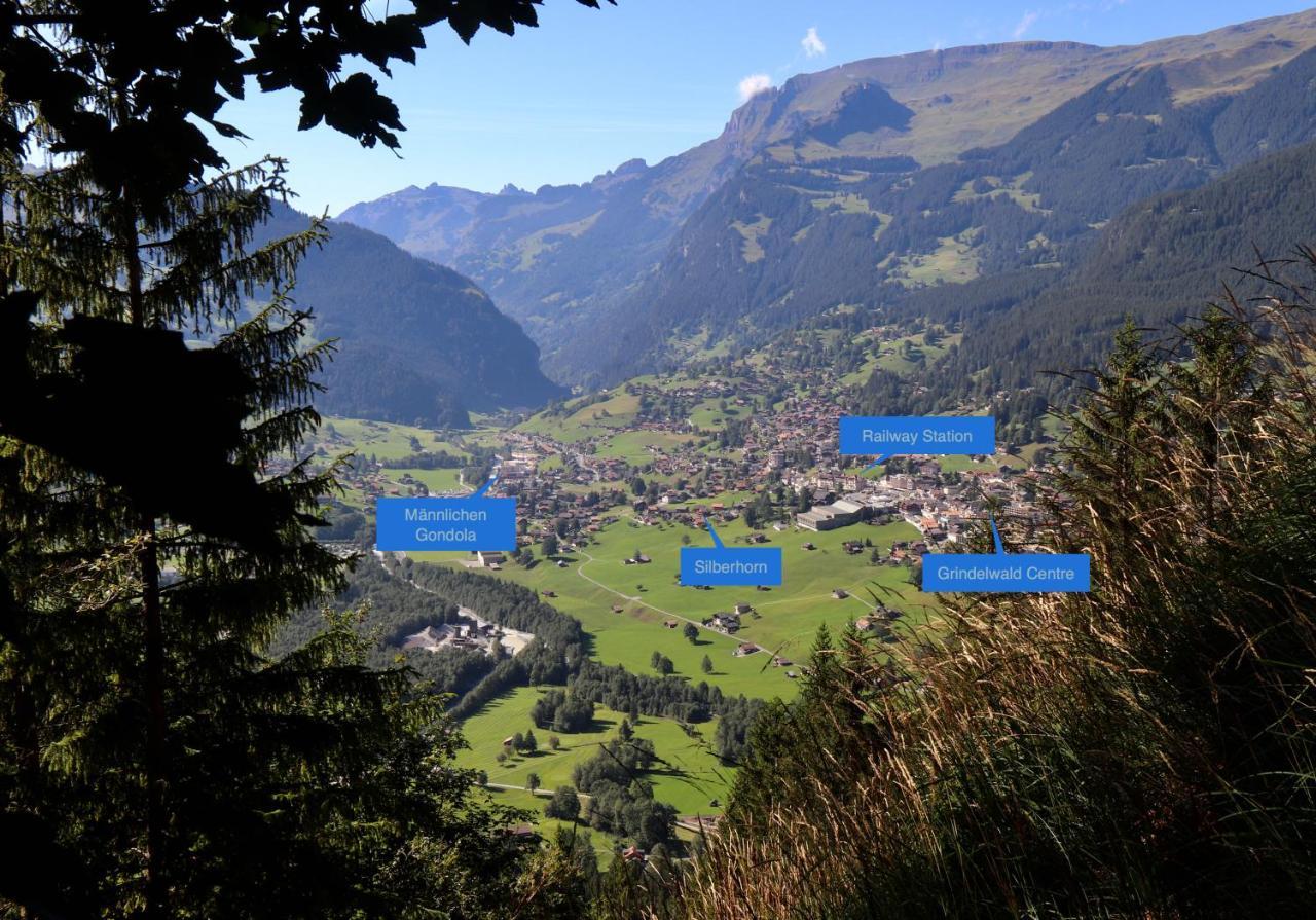 Silberhorn Apartment Grindelwald
