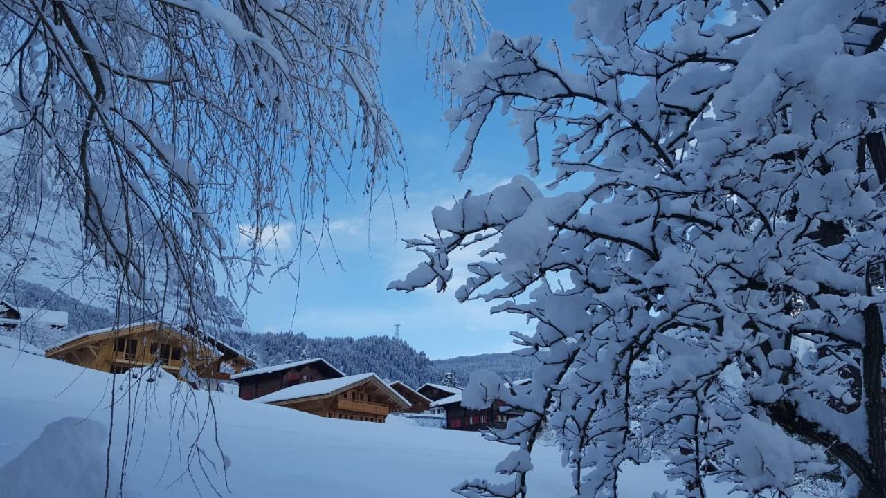 Waergistal * Grindelwald