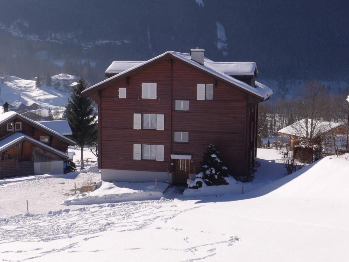 Apartment Chalet Mettli Grindelwald