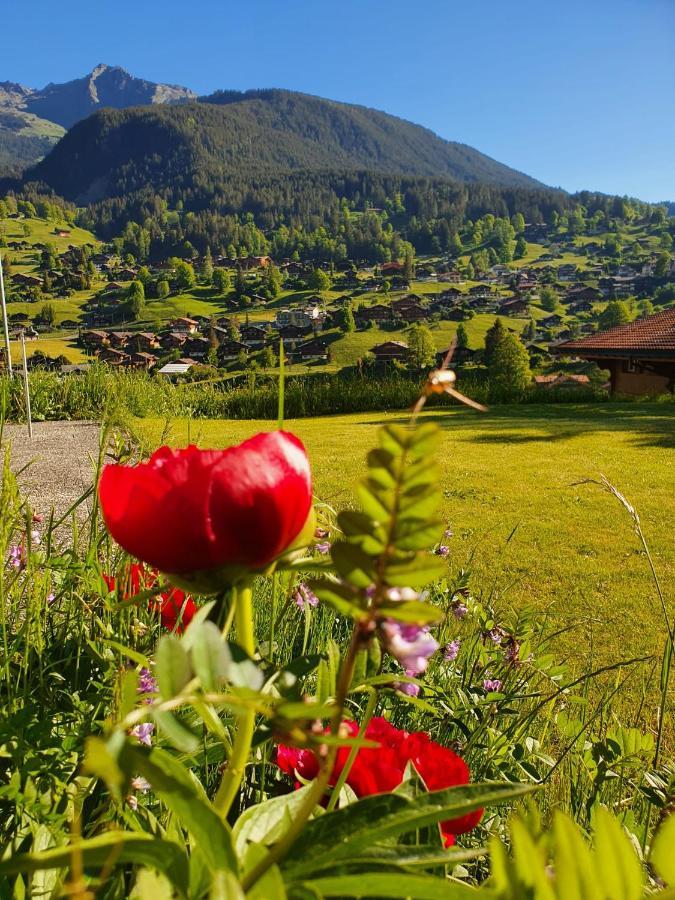 Lilalama Apartment Grindelwald