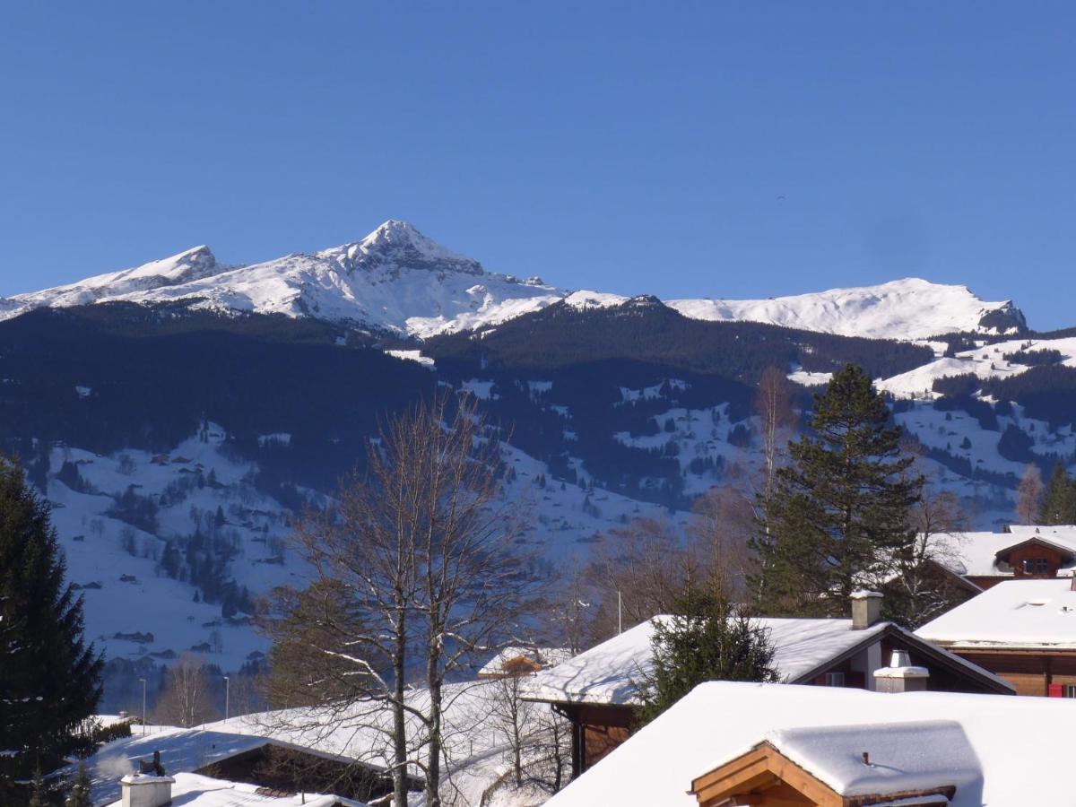 Chalet Mettli Apartment *