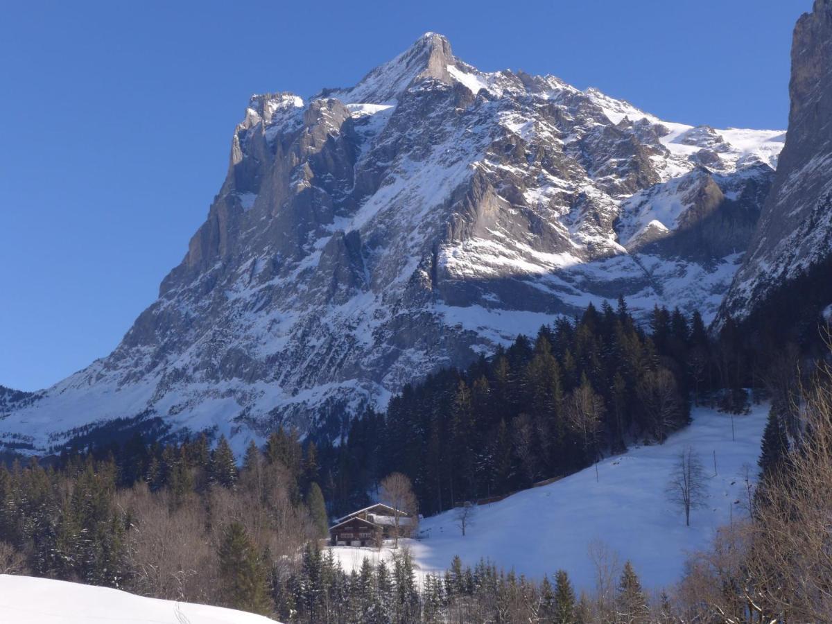 Apartment Chalet Mettli Grindelwald