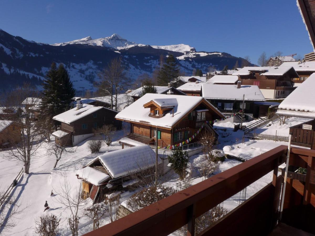 Apartment Chalet Mettli *
