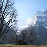 Superior Apartment 100M2 Bodmisonne - Grindelwald