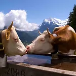Parkhotel Schoenegg