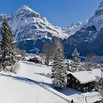 Apartment Steinegg - Griwarent Ag