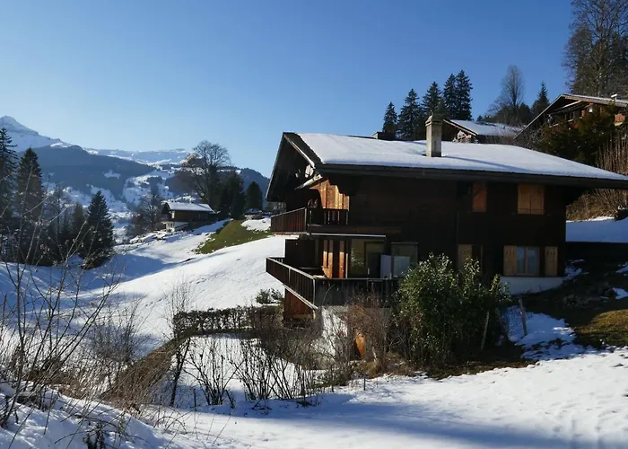Apartment Chalet Grindelwaldgletscher By Interhome