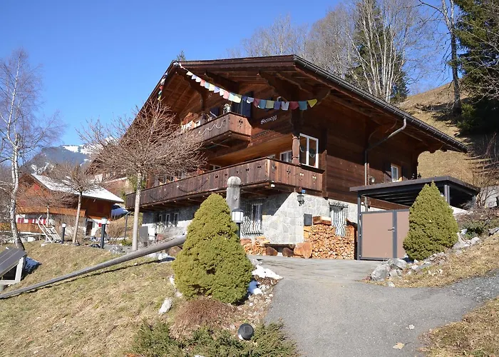 Apartment Steinegg - Griwarent Ag