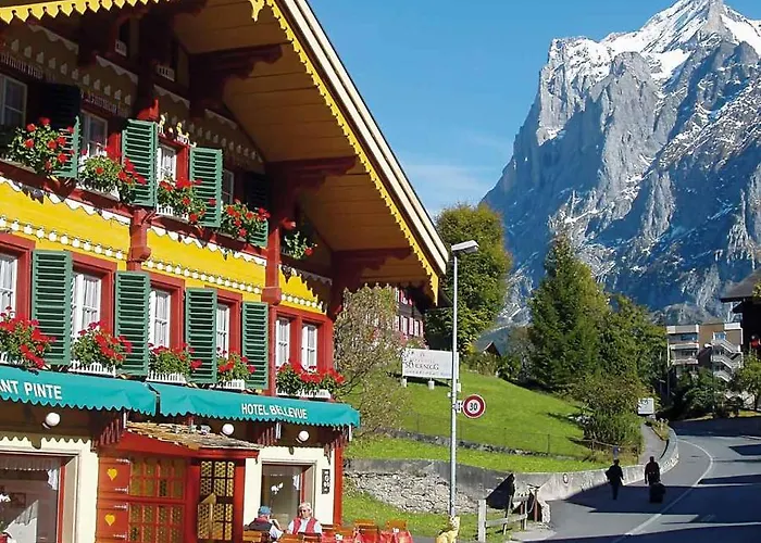 Hotel Bellevue Pinte