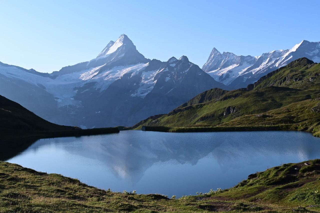 Hirschen Grindelwald