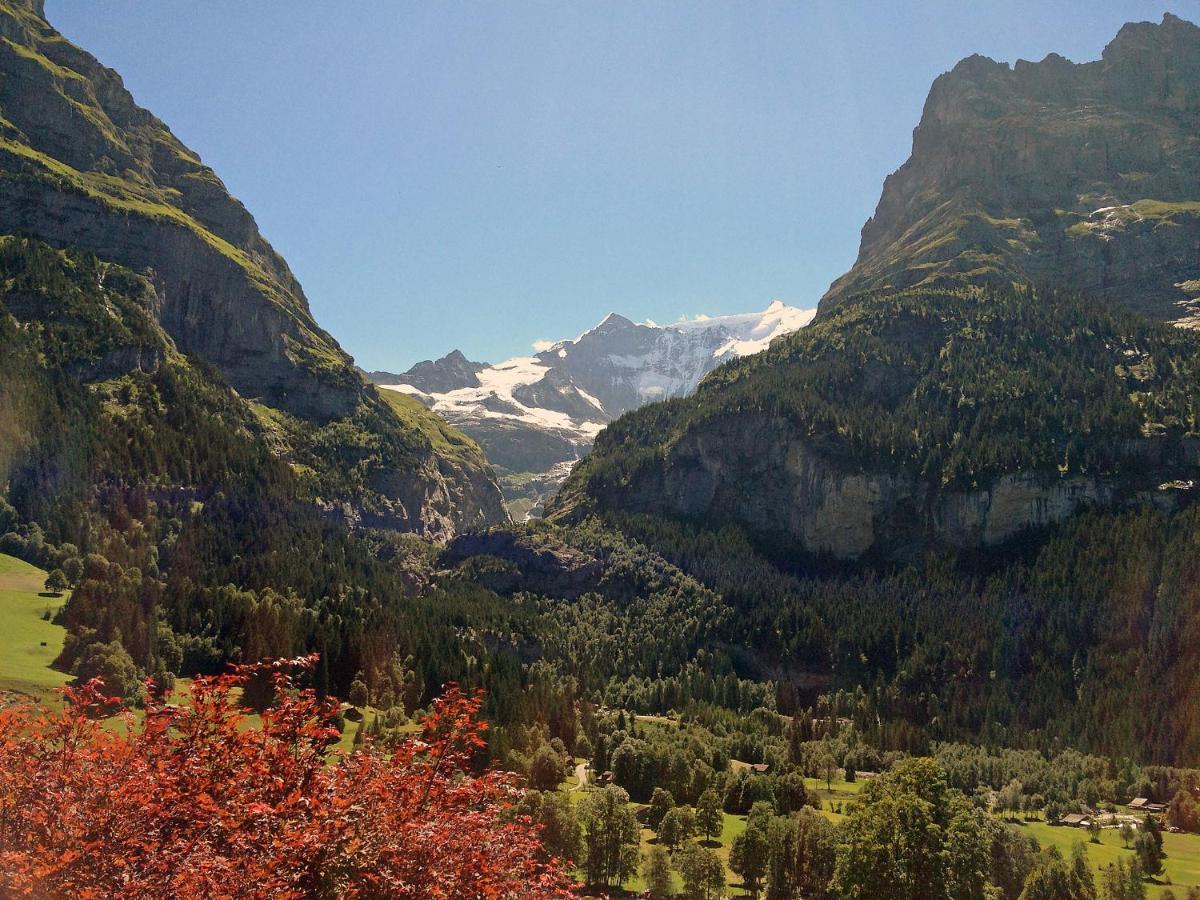 Baergsunna-3 By Interhome Apartamento Grindelwald