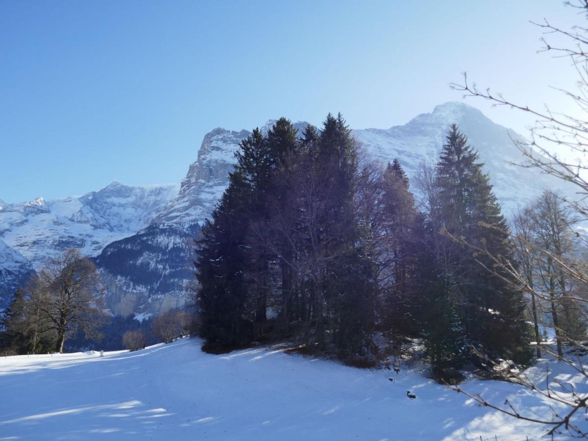 Chalet Grindelwaldgletscher By Interhome