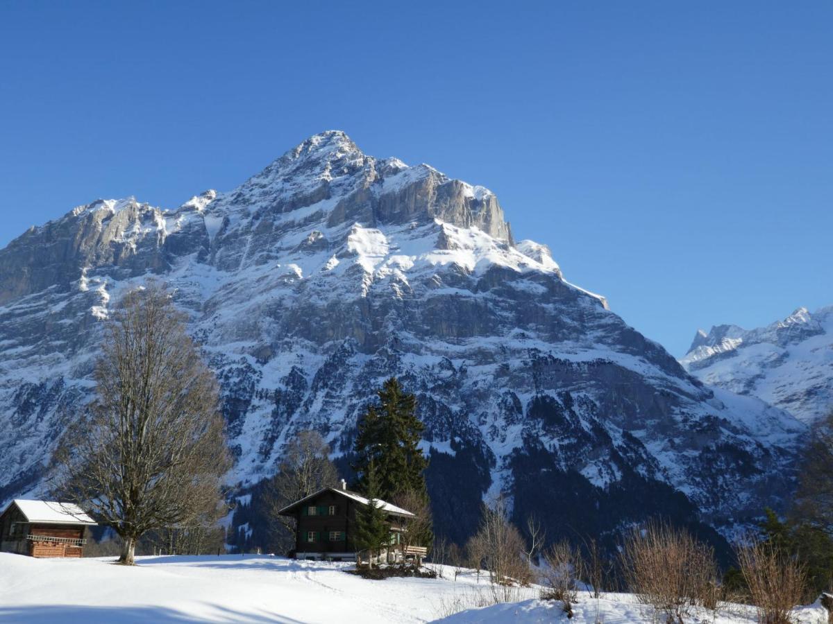 Apartment Chalet Grindelwaldgletscher By Interhome *