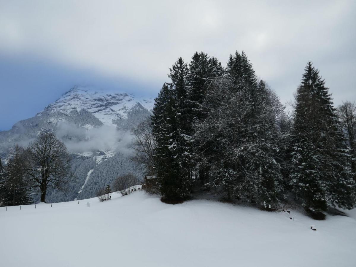 Apartment Chalet Grindelwaldgletscher By Interhome *