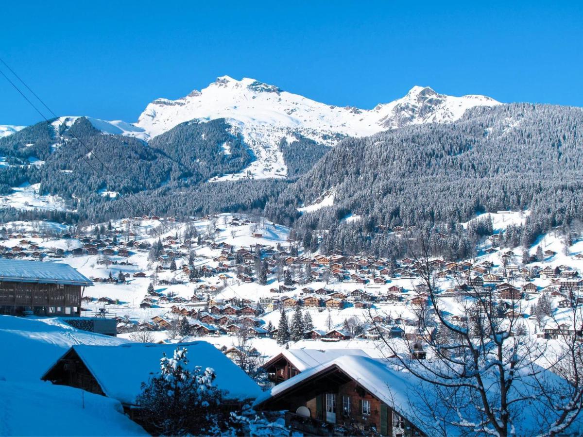 Zur Hoehe By Interhome Apartment Grindelwald