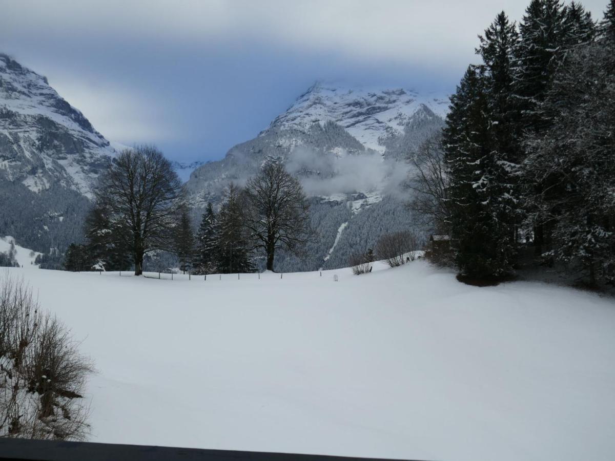 Chalet Grindelwaldgletscher By Interhome Apartment