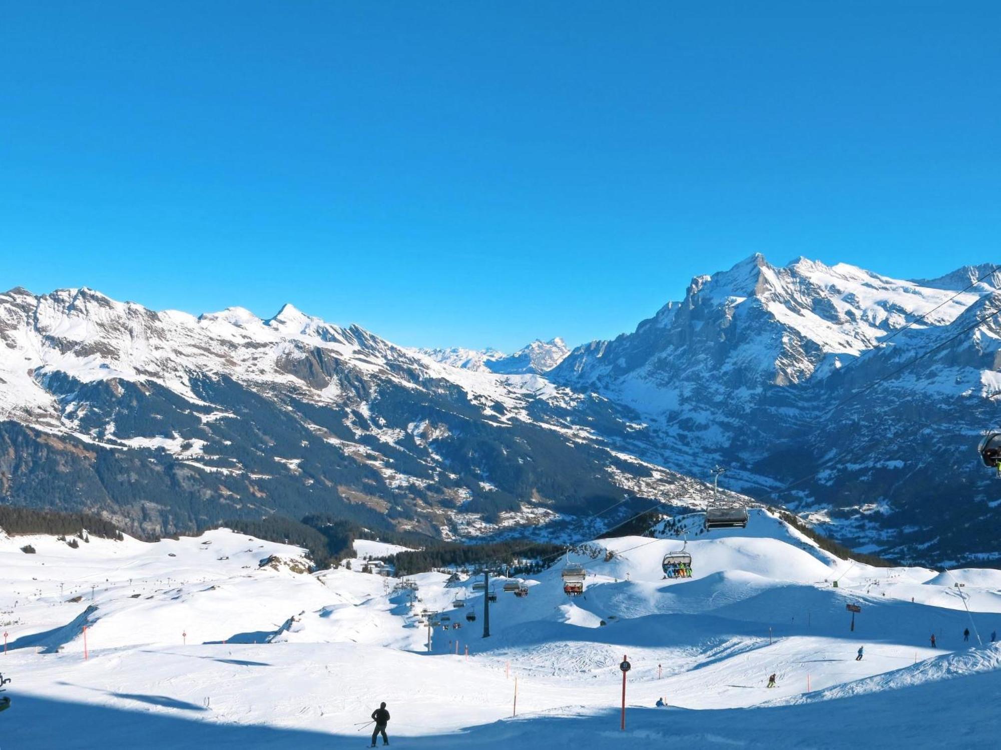 Apartment Chalet Grindelwaldgletscher By Interhome