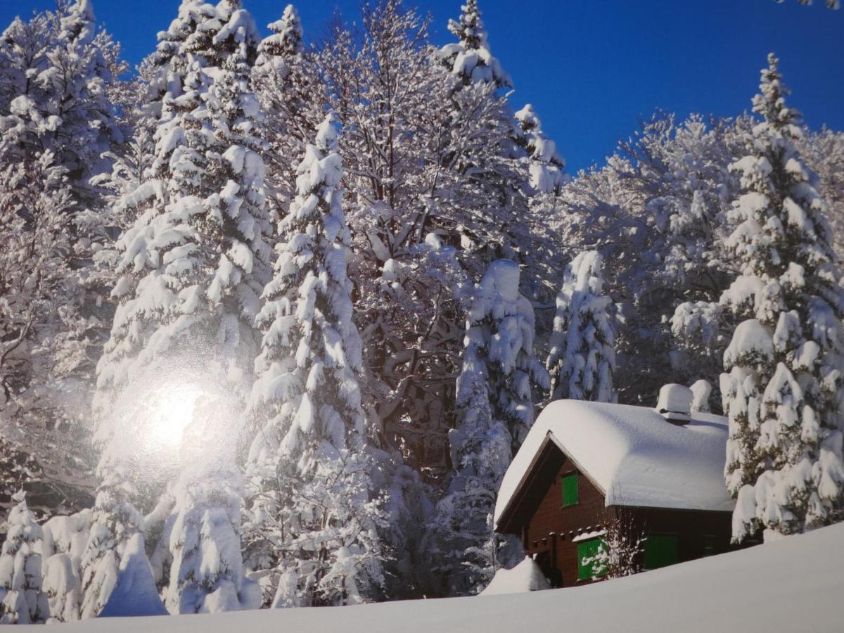 Chalet Grindelwaldgletscher By Interhome Apartment *