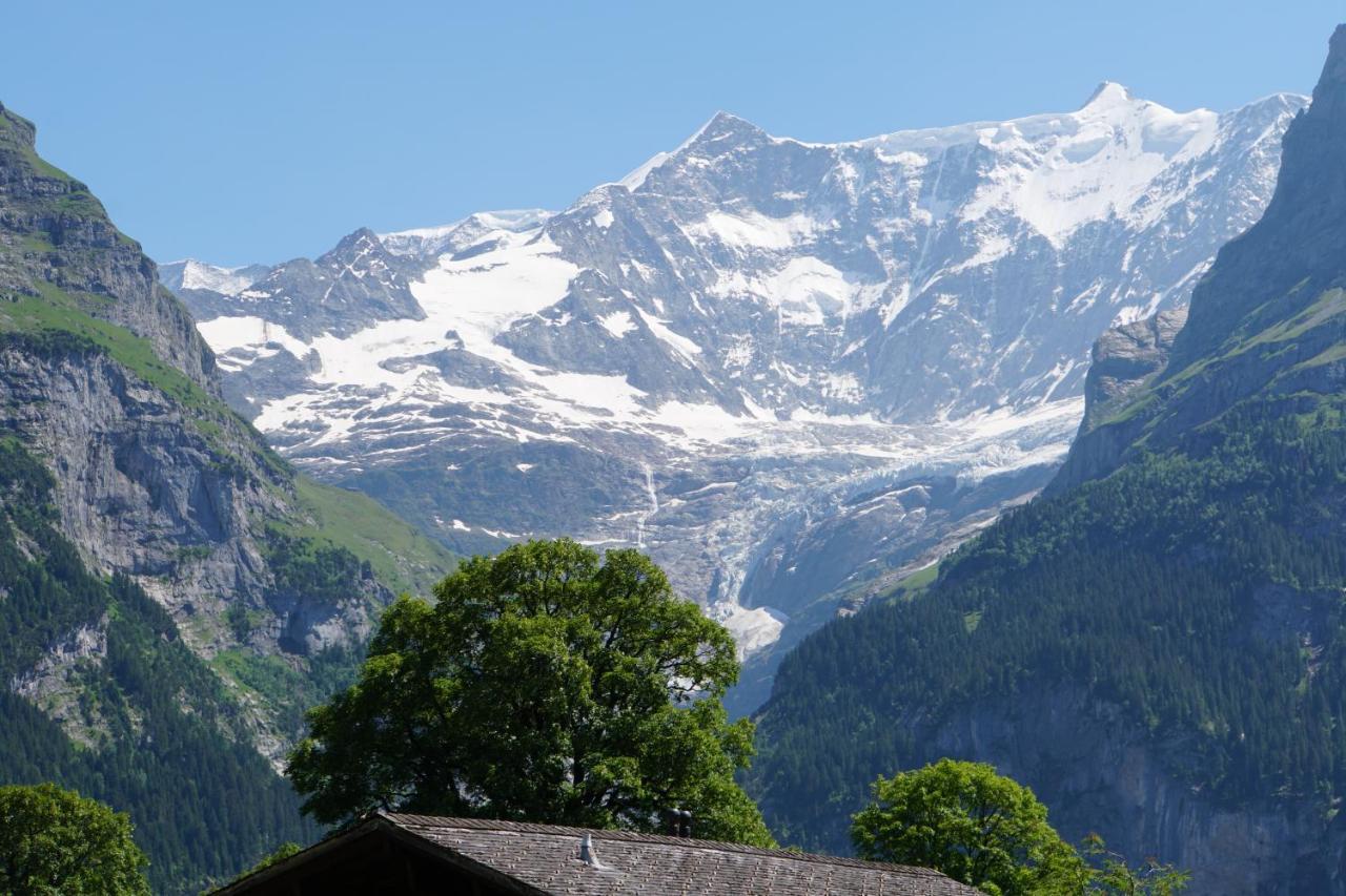 Eigerview Apartment Grindelwald