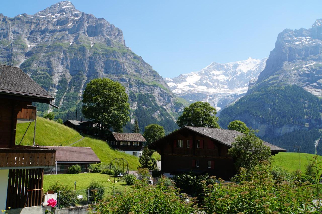 Eigerview *