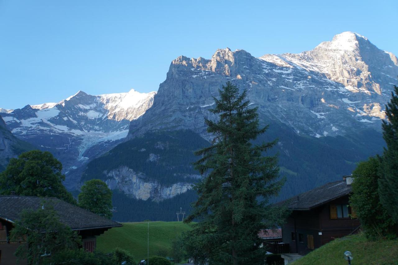 Apartment Eigerview *