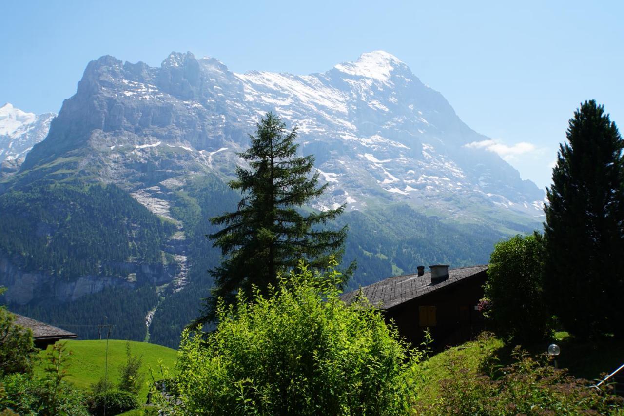 Apartment Eigerview Grindelwald