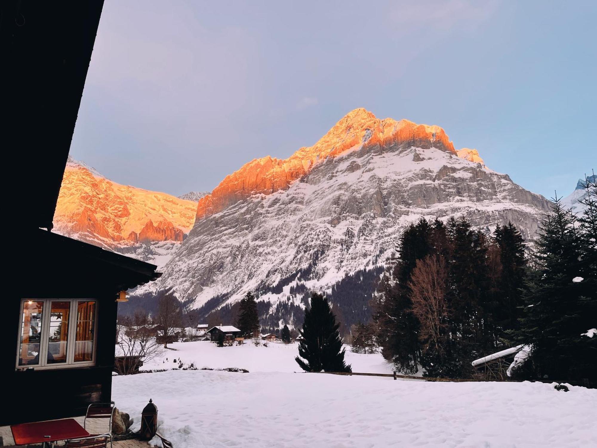 Naturfreunde
