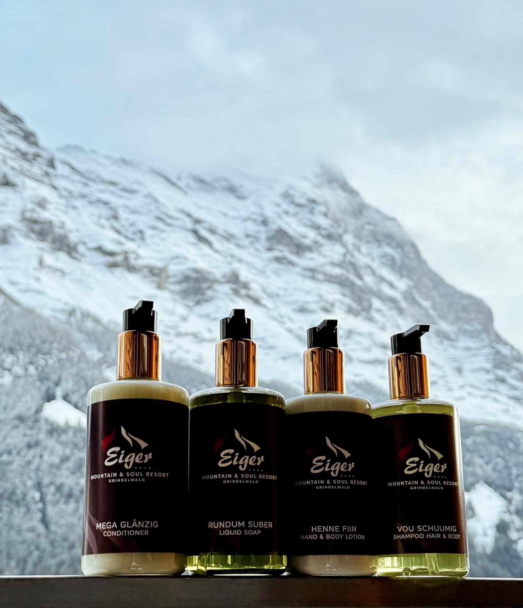 Eiger Selfness Hotel**** - Zeit Für Mich 4* Grindelwald