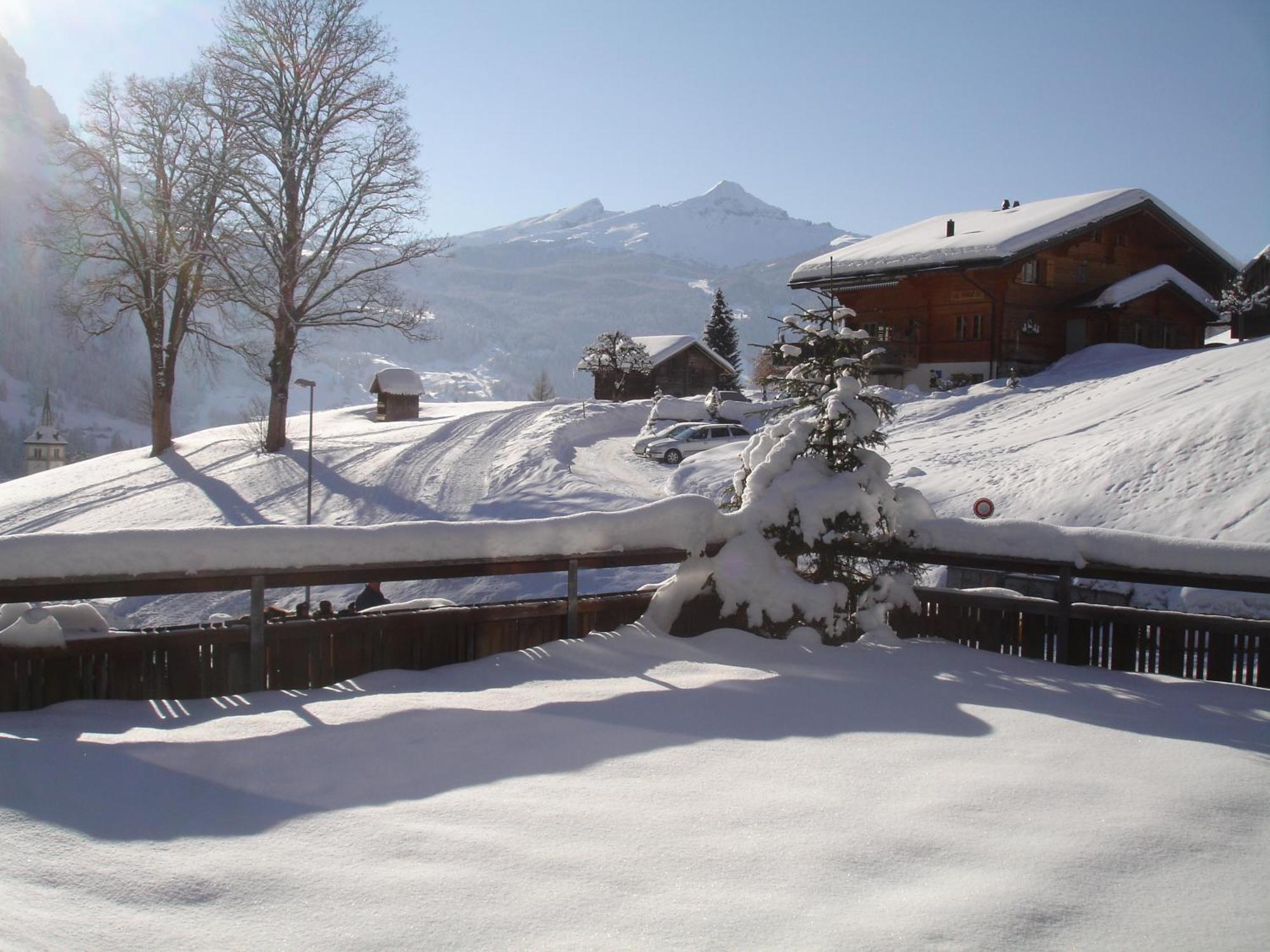 Alpenblick Grindelwald