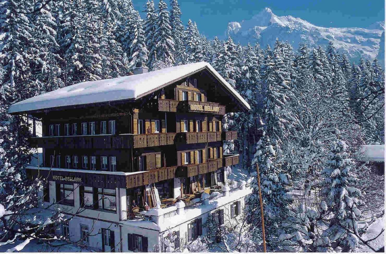 Lodge Bellary Grindelwald