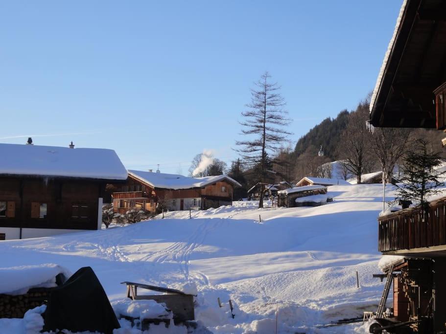 Apartment Engi Apt. 3 For Up To 8 People Grindelwald