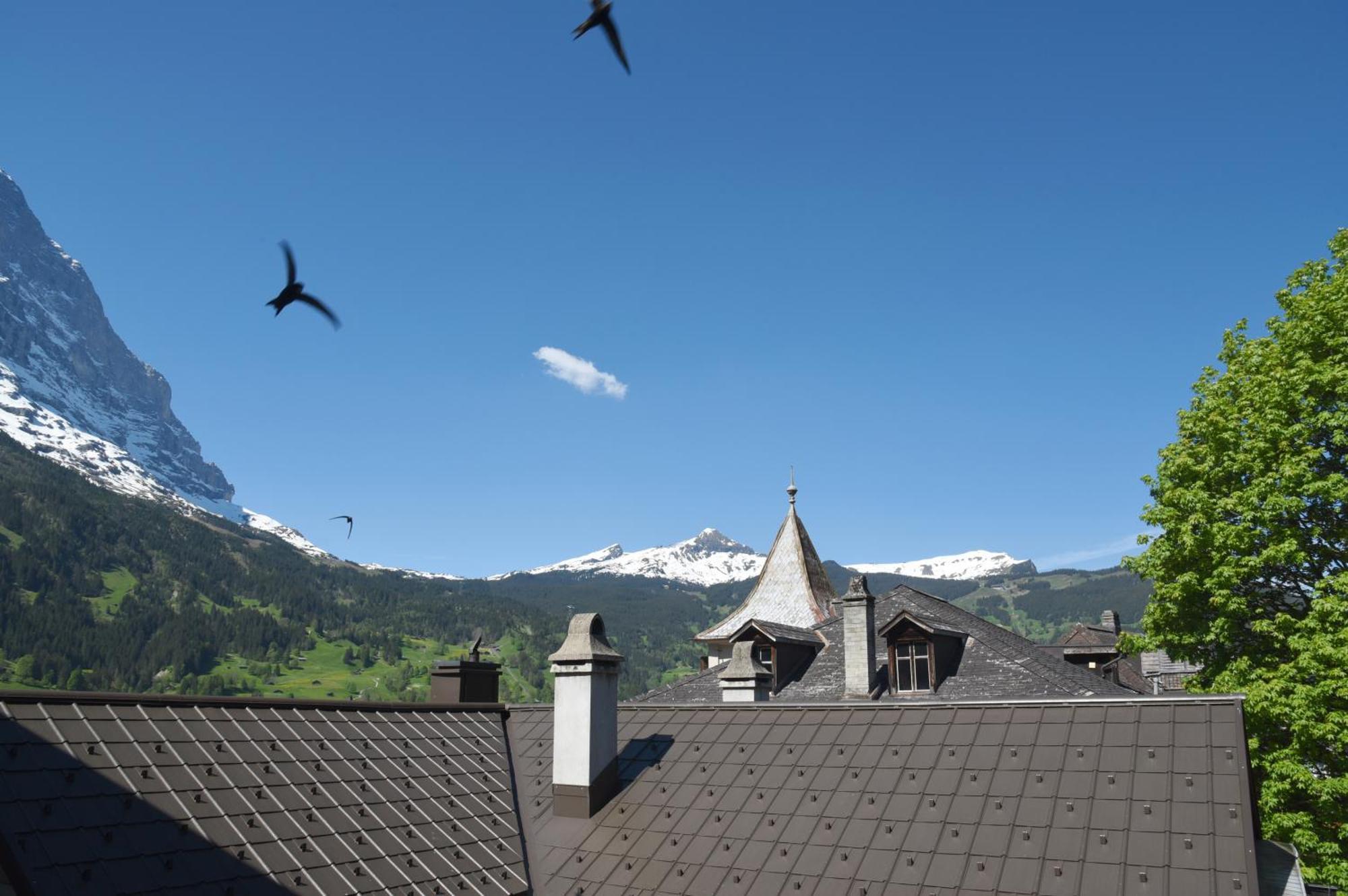 Eiger Selfness Hotel**** - Zeit Für Mich 4* Grindelwald