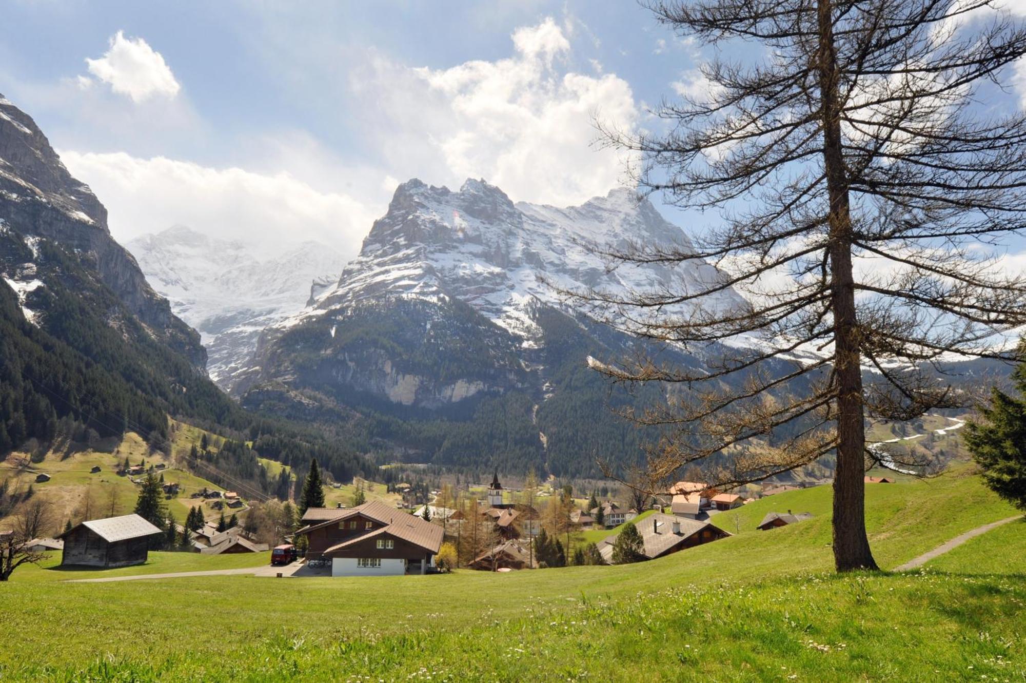 Kirchbühl Apartment Grindelwald