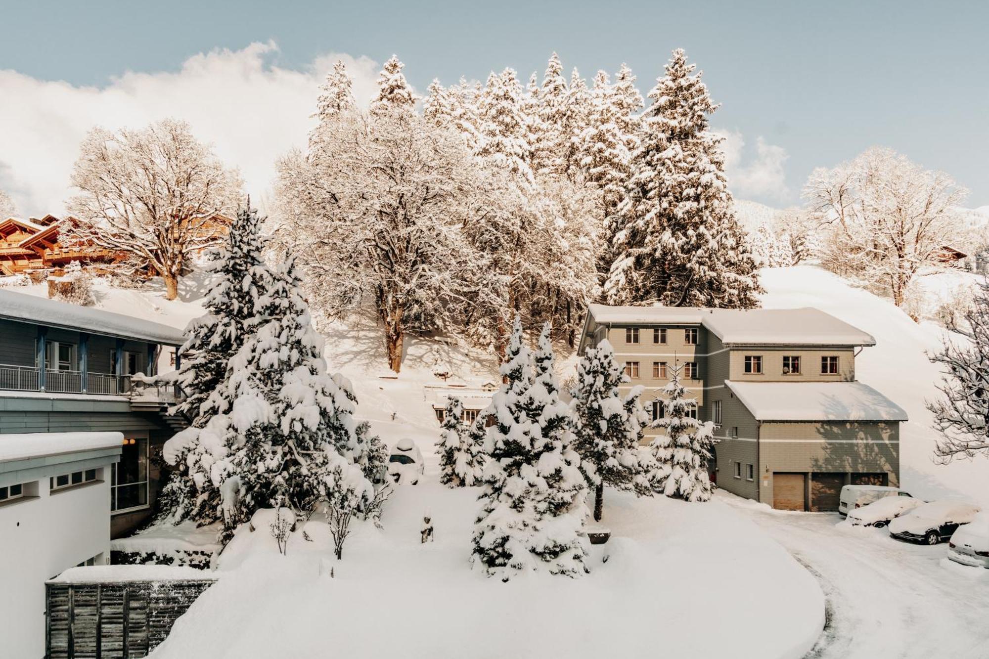 Parkhotel Schoenegg Hotel Grindelwald
