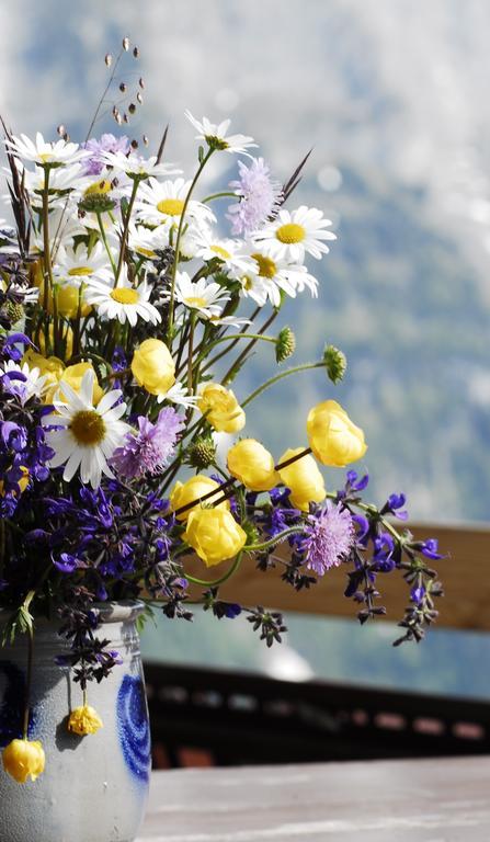 Hotel Alpinhotel Bort Grindelwald