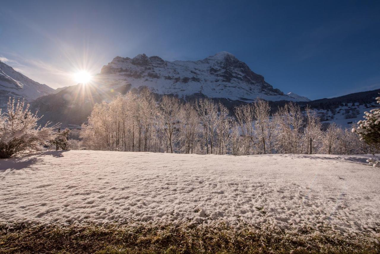 Billabong Grindelwald