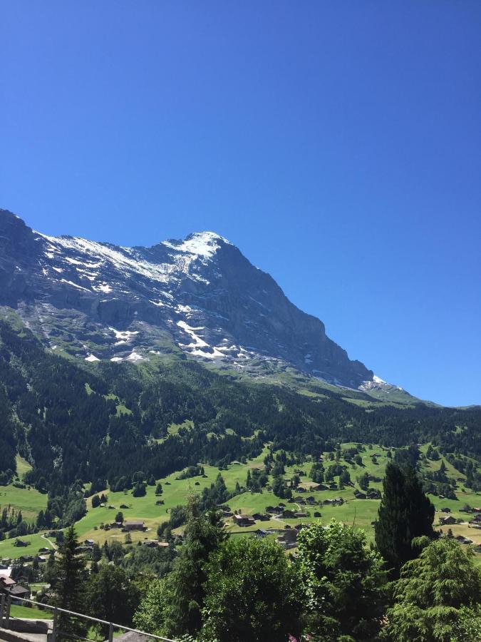 Jungfrau Grindelwald