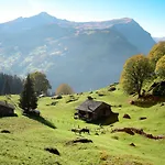 Apartment Chalet Beausite